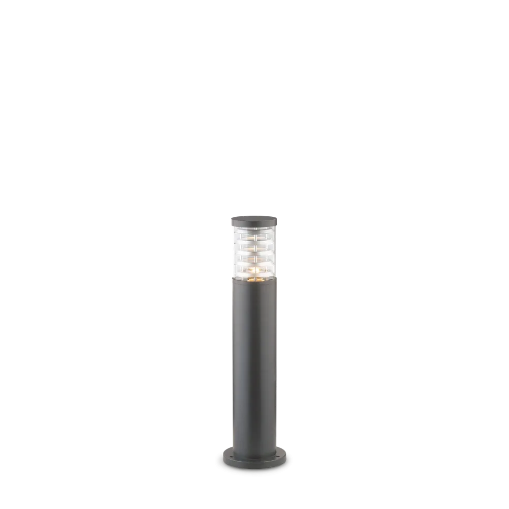 Taurus pt d21 accent rond