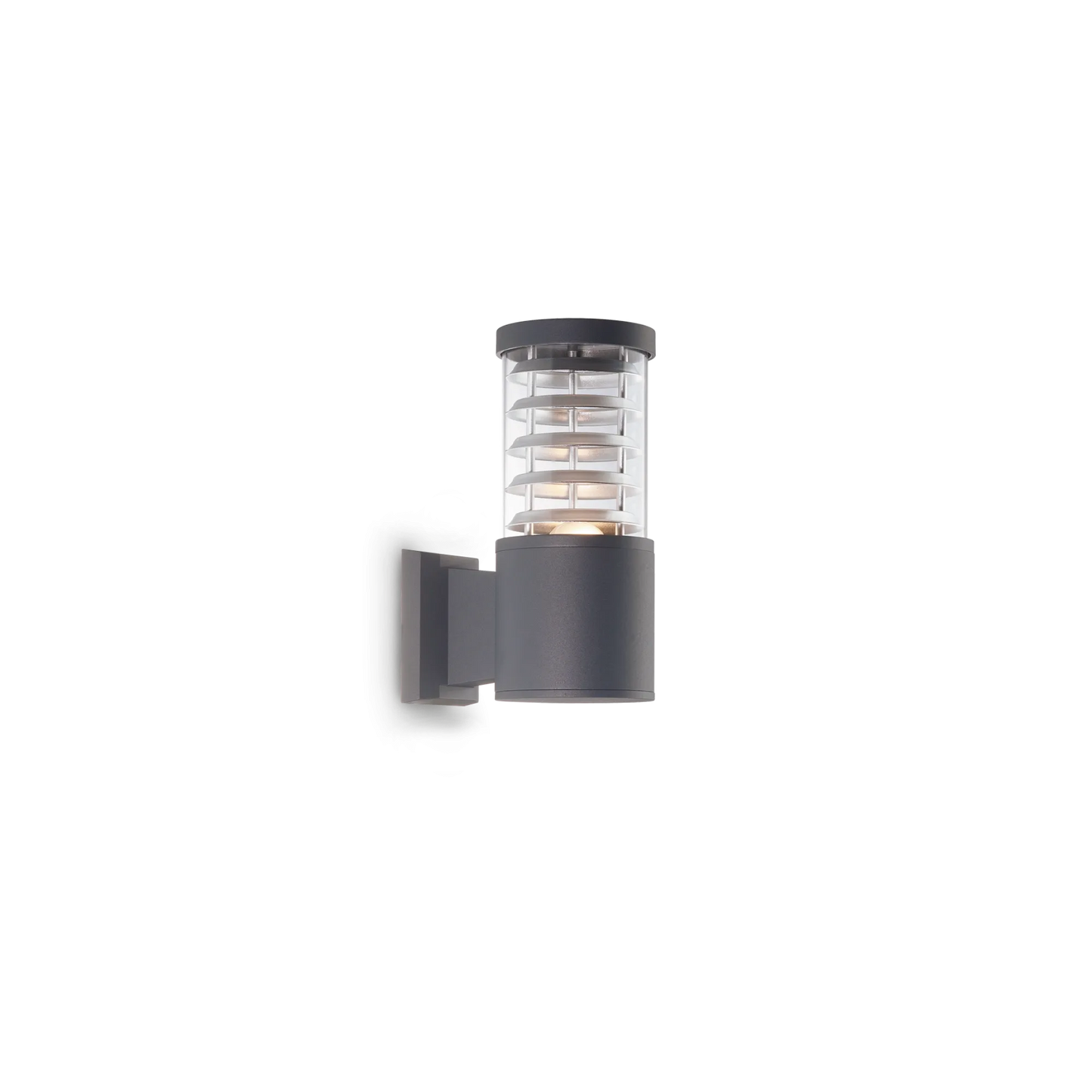 Tronco ap1