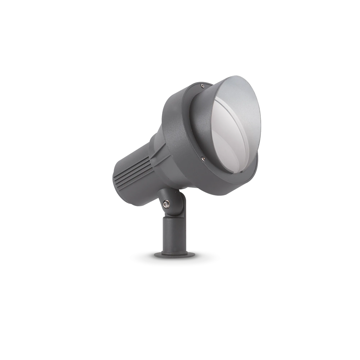 Taurus pt d21 accent rond