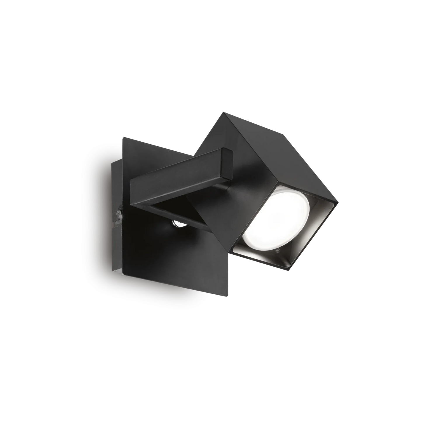 Souris ap1
