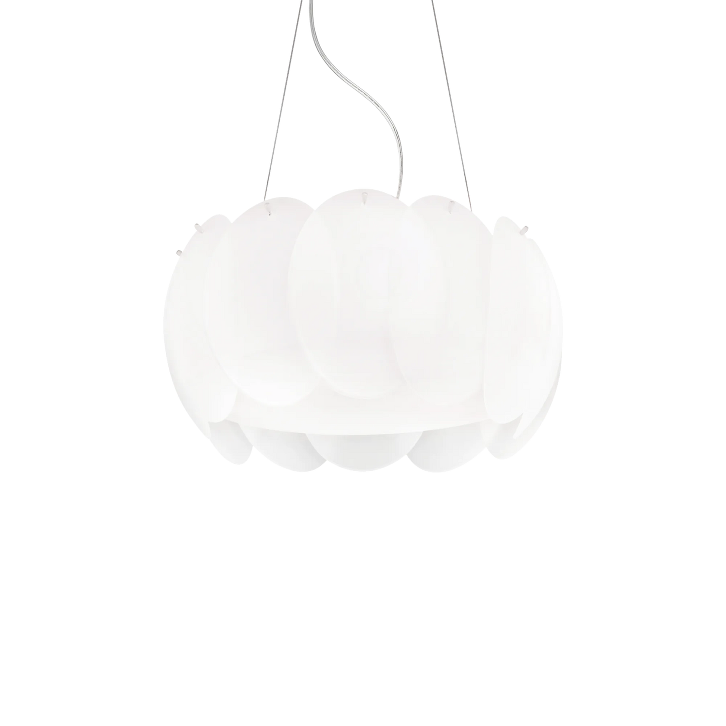 Ovalino sp5