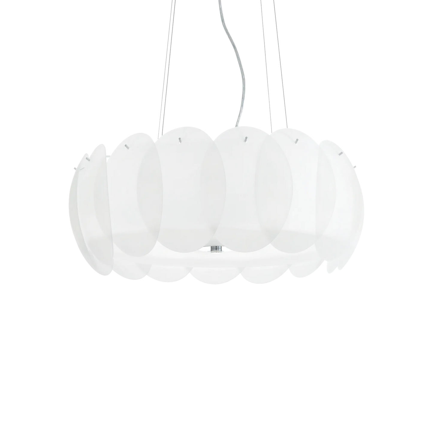 Ovalino sp8