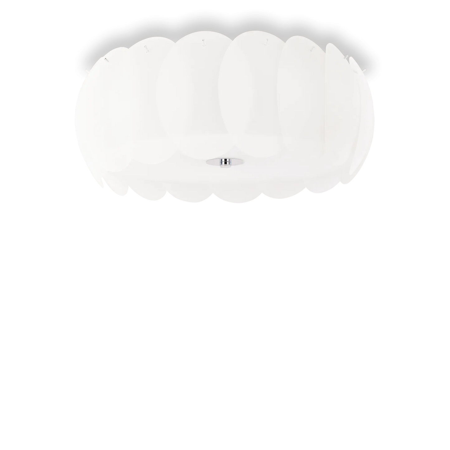 Ovalino pl8