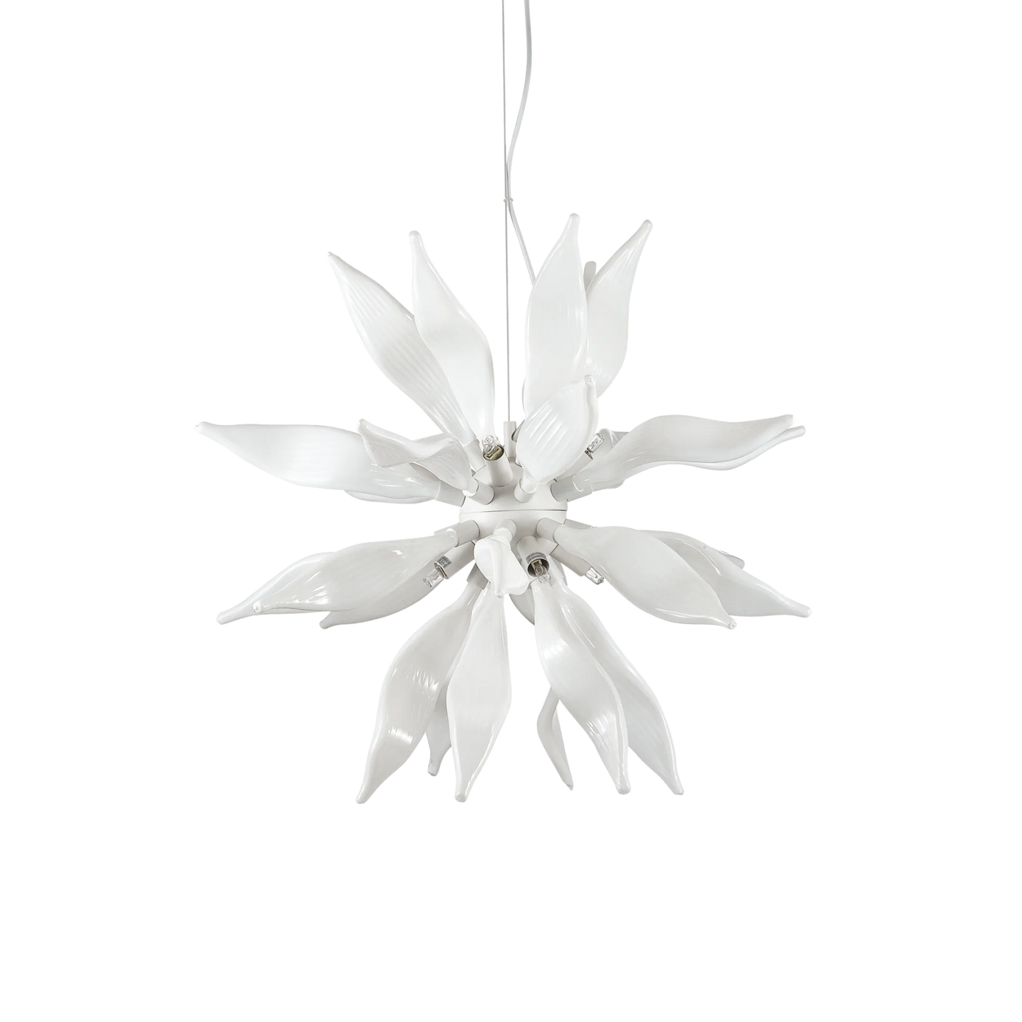 Feuilles sp8