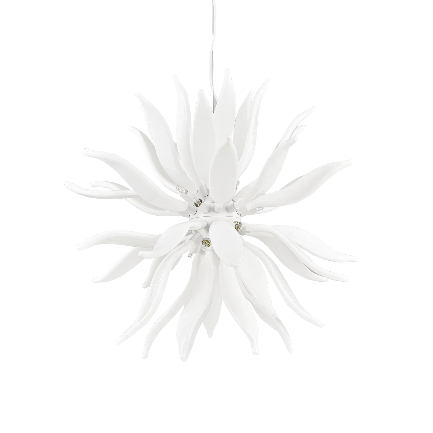 Feuilles sp12