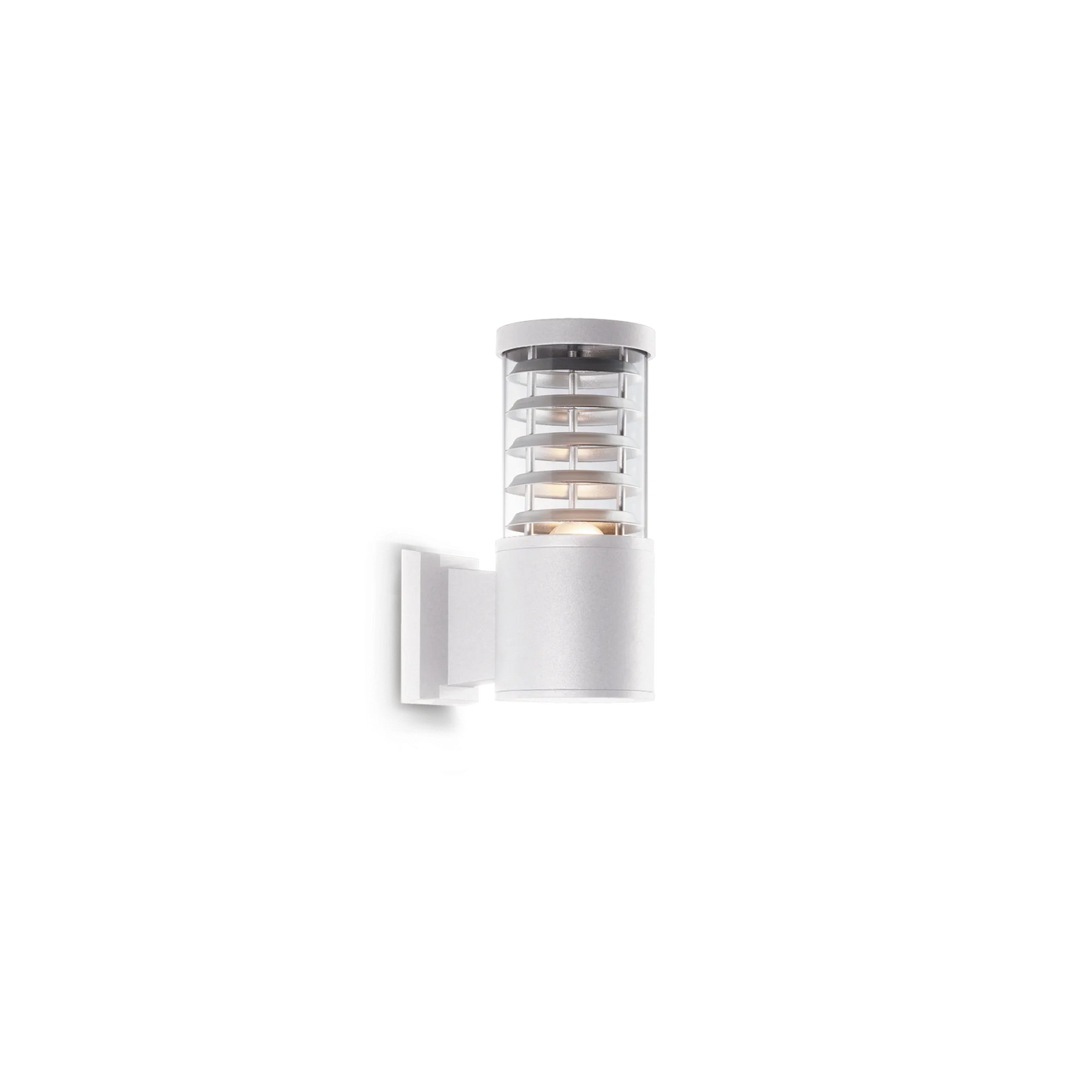 Tronco ap1