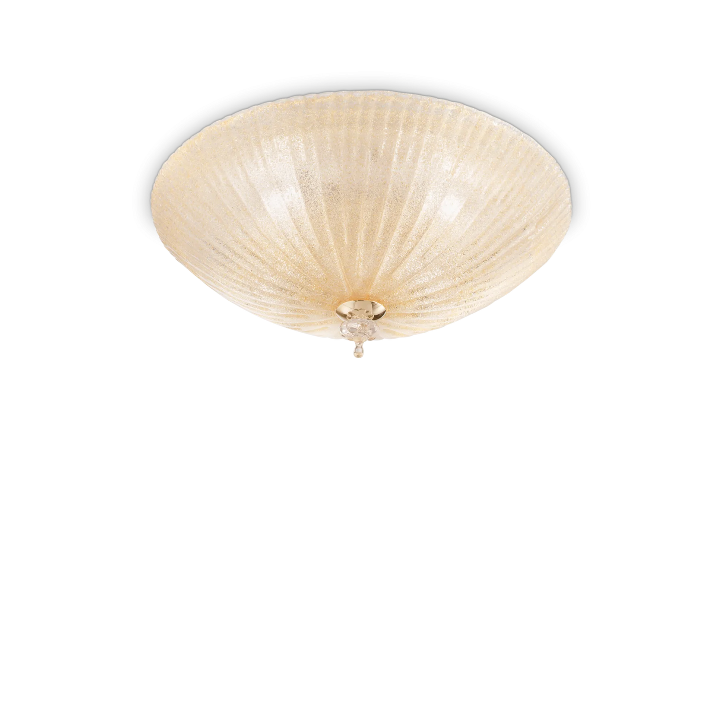 Coquille pl3