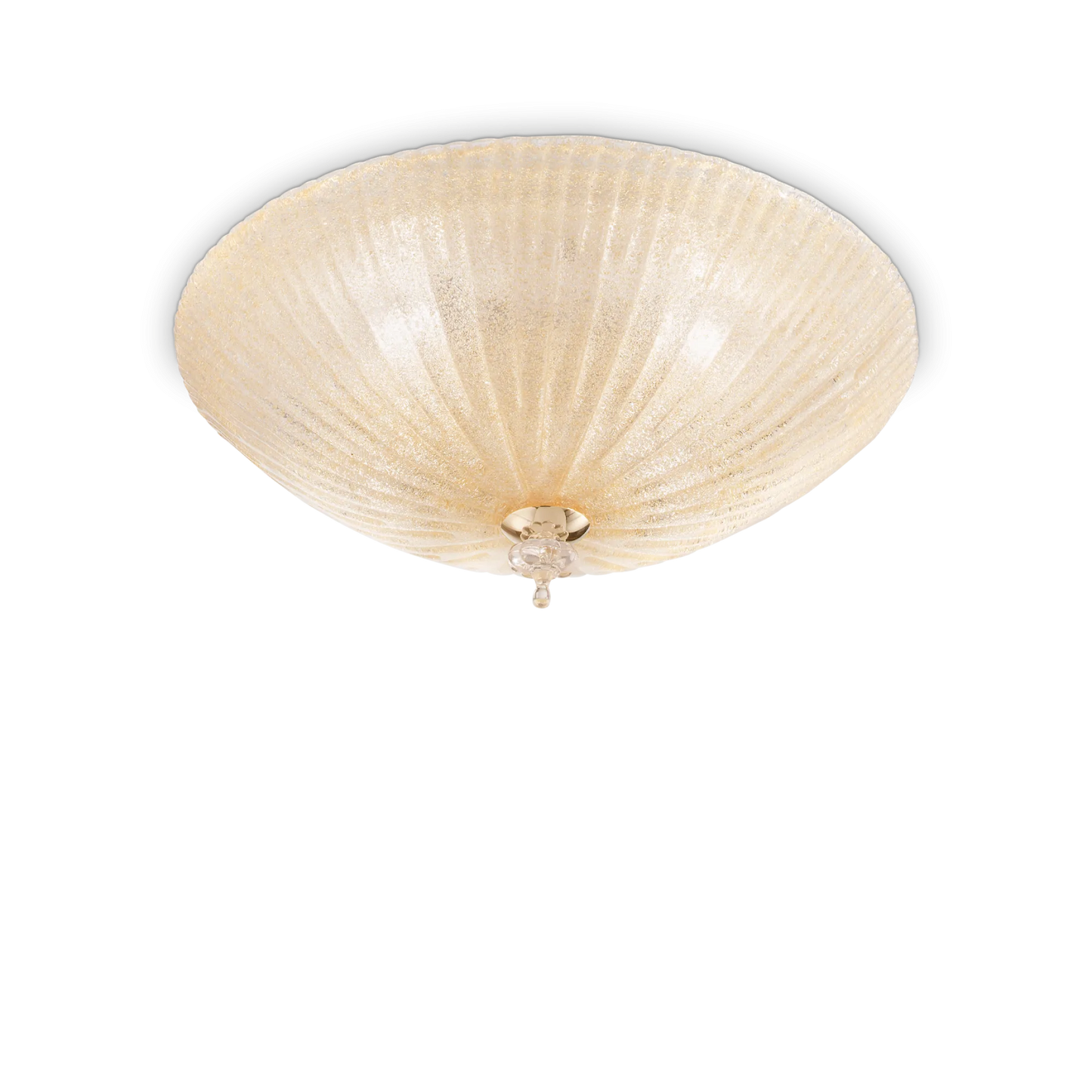 Coquille pl4