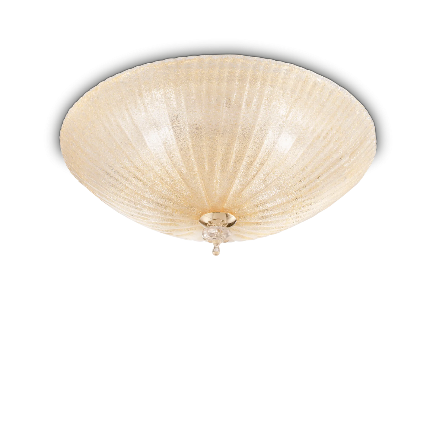 Coquille pl6