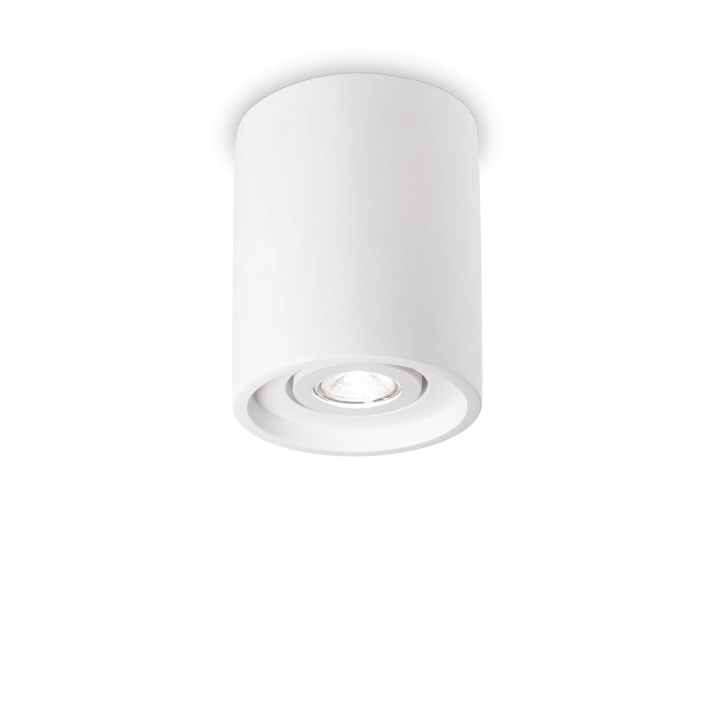Chêne pl1