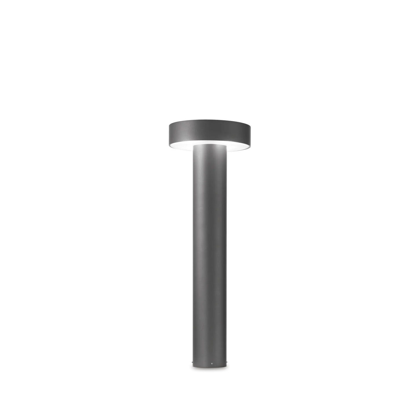 Taurus pt d21 accent rond