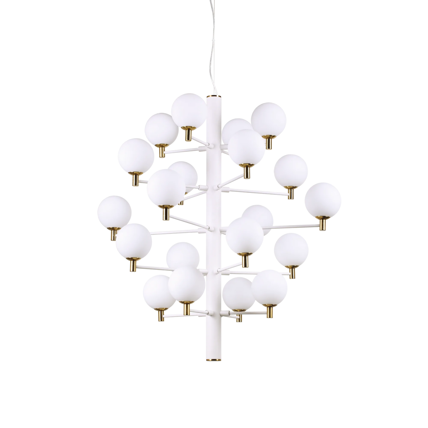 Copernico sp20