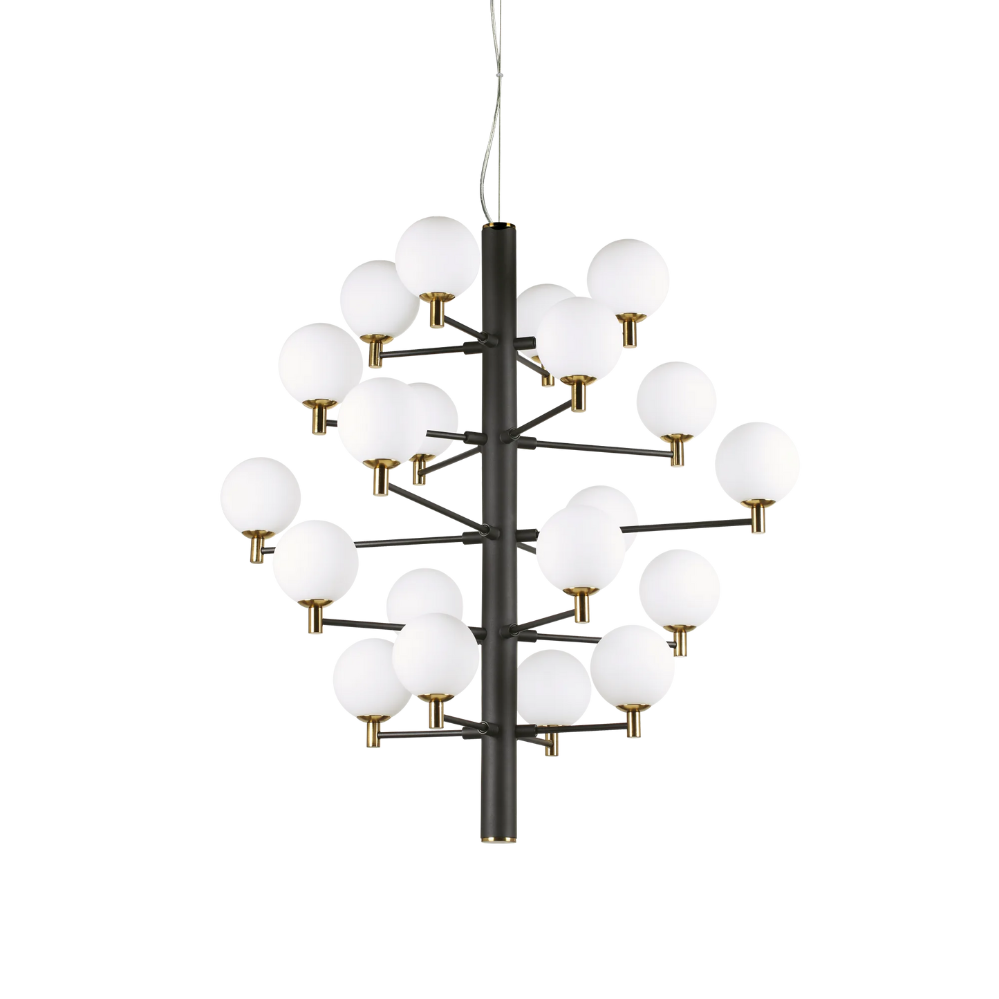 Copernico sp20
