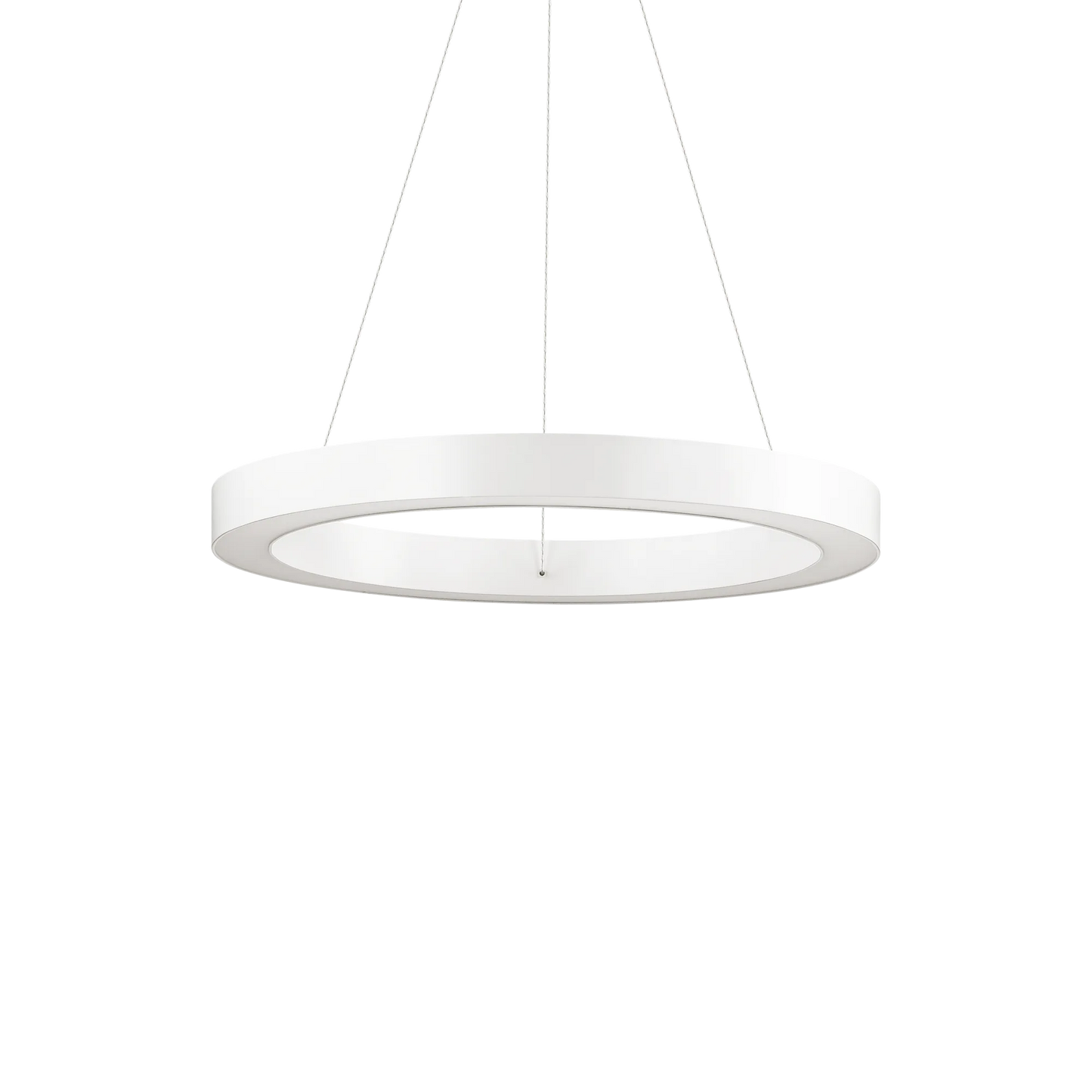 Oracolo sp d50