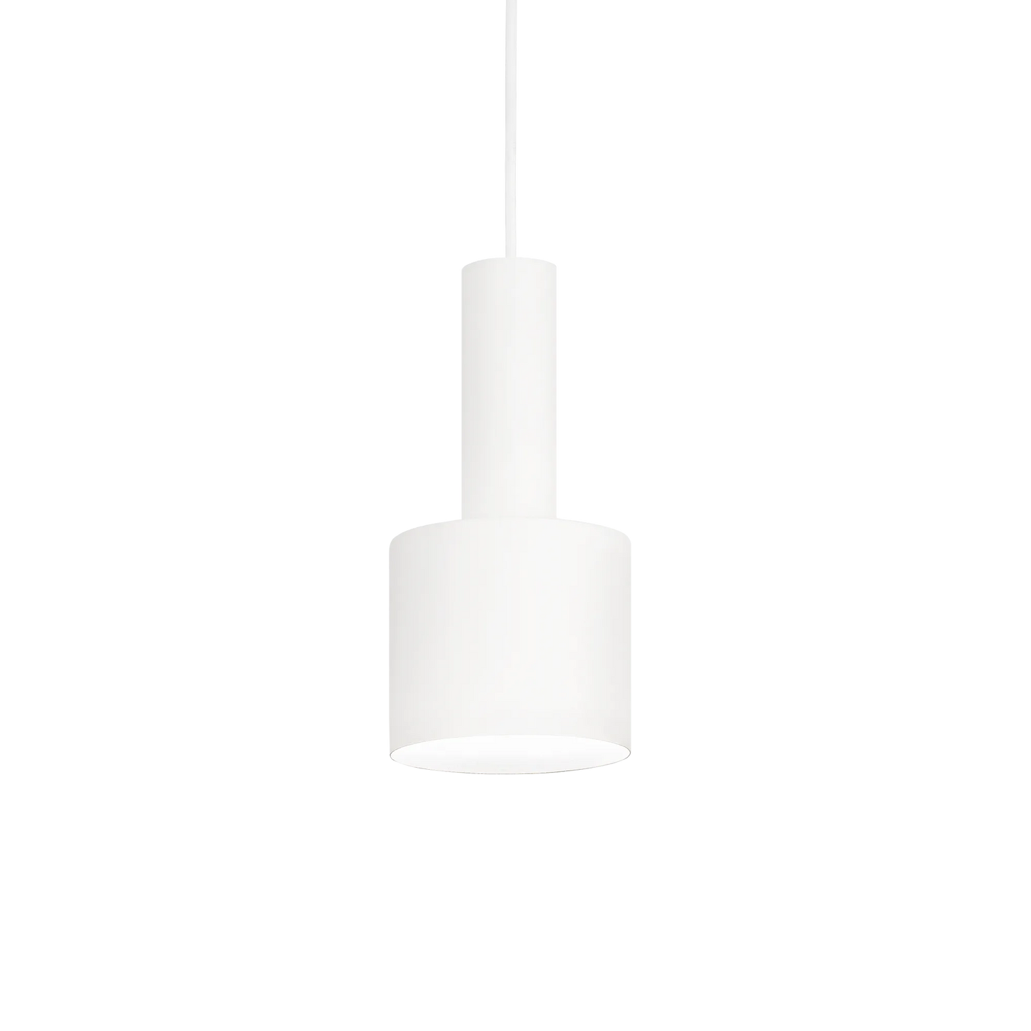 Houx sp1