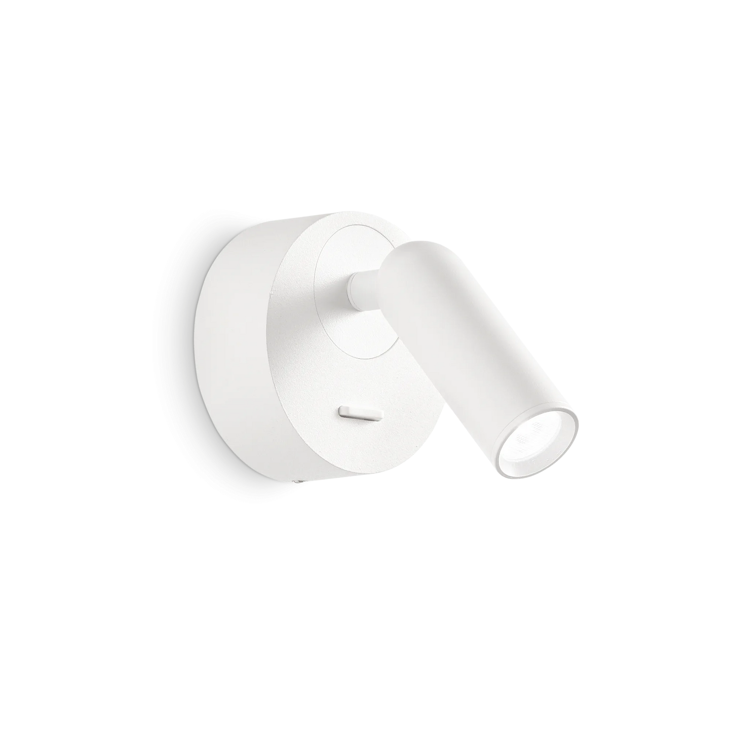Haricot rond