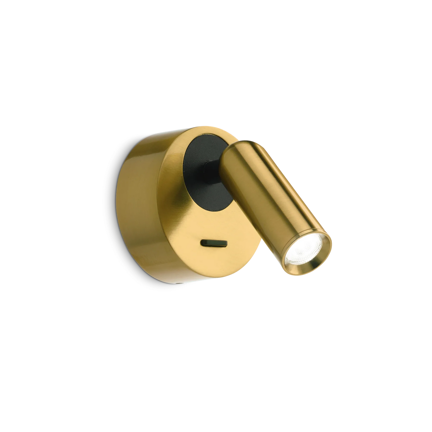 Haricot rond