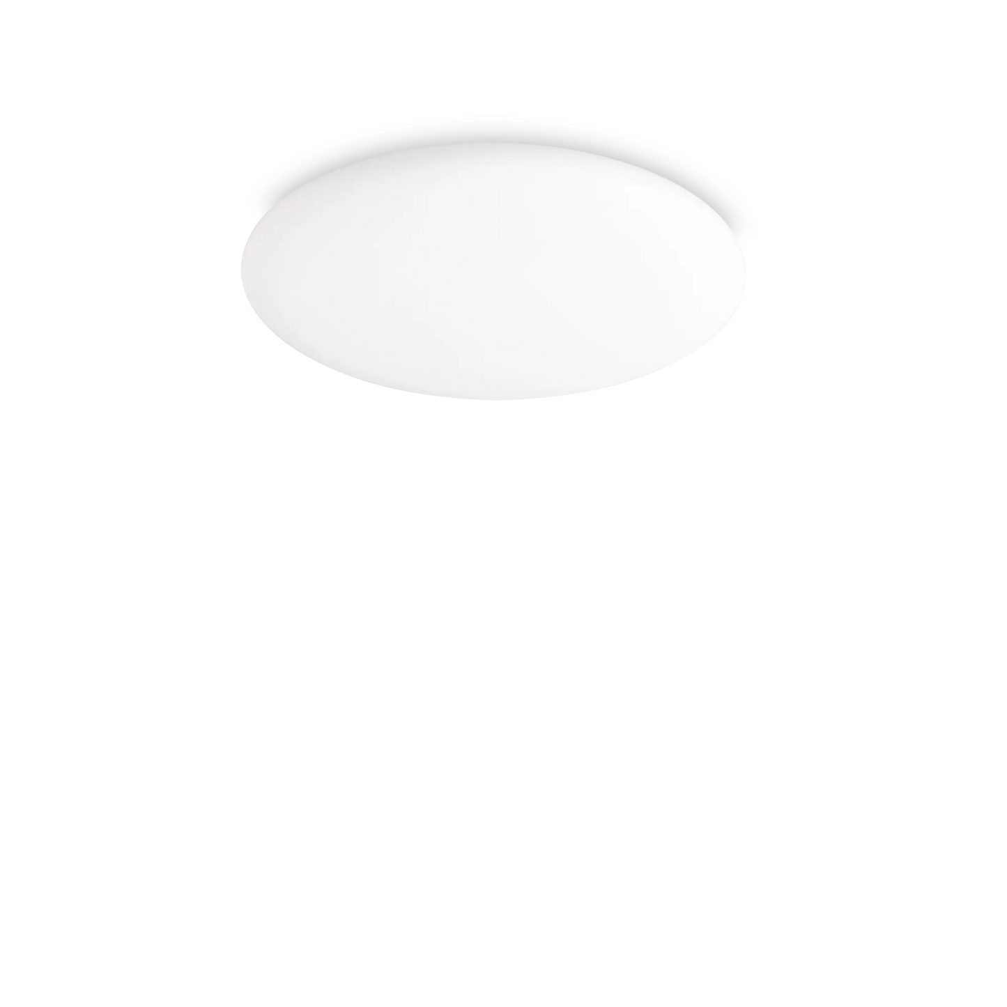 Niveau pl d40