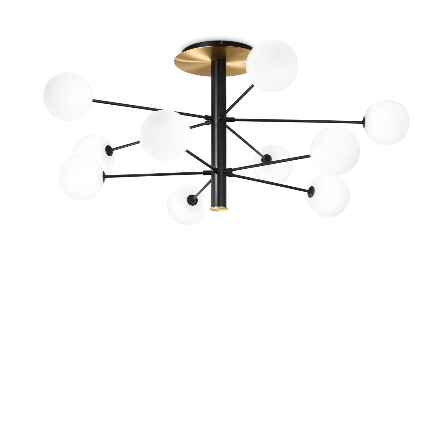 Cosmopolite pl10