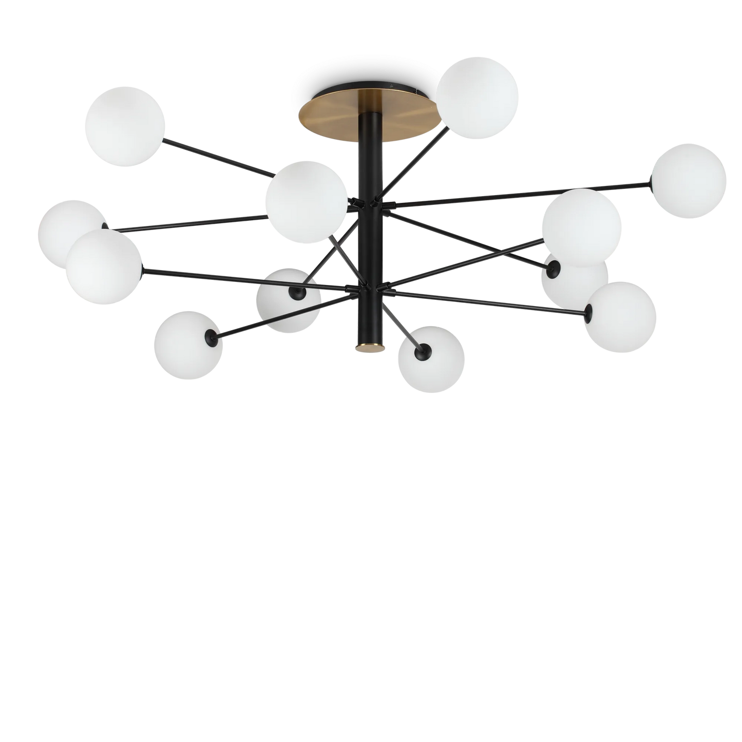 Cosmopolite pl12
