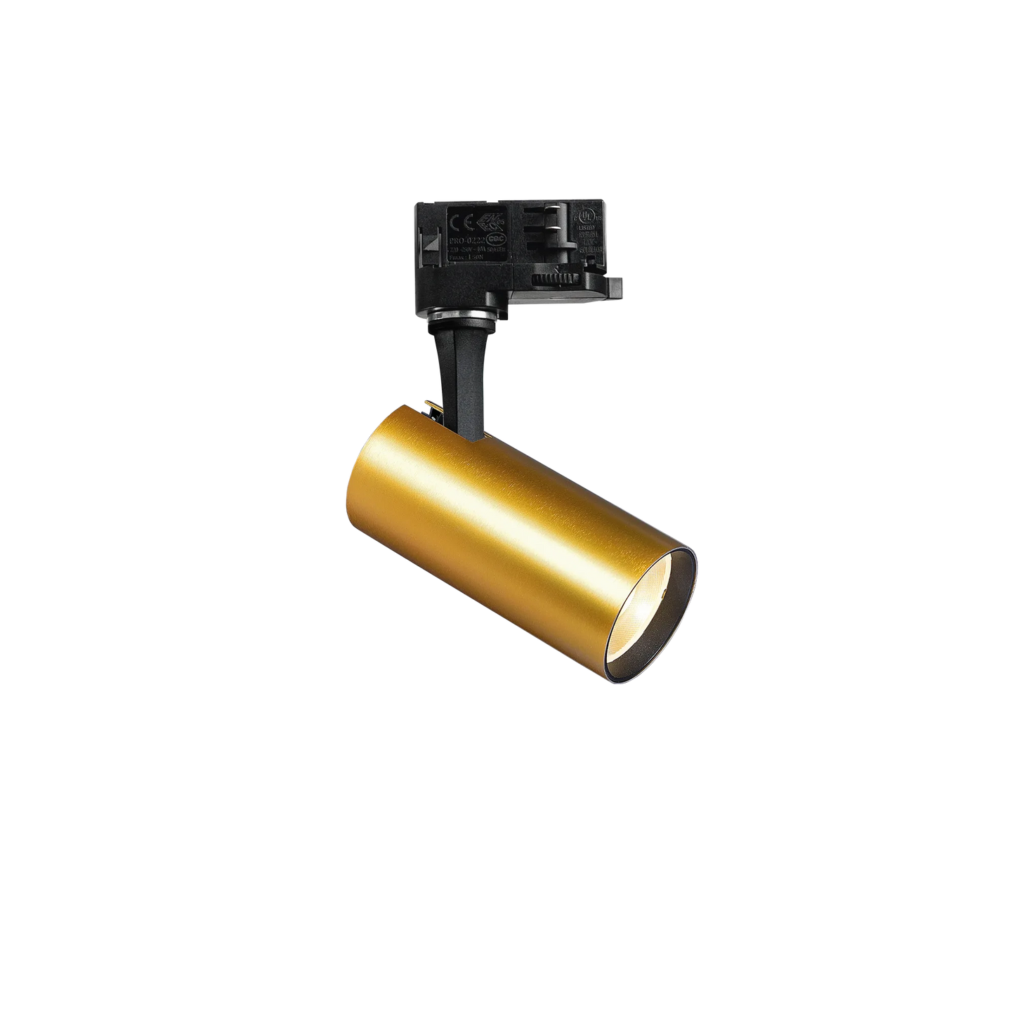 Taurus pt d21 accent rond