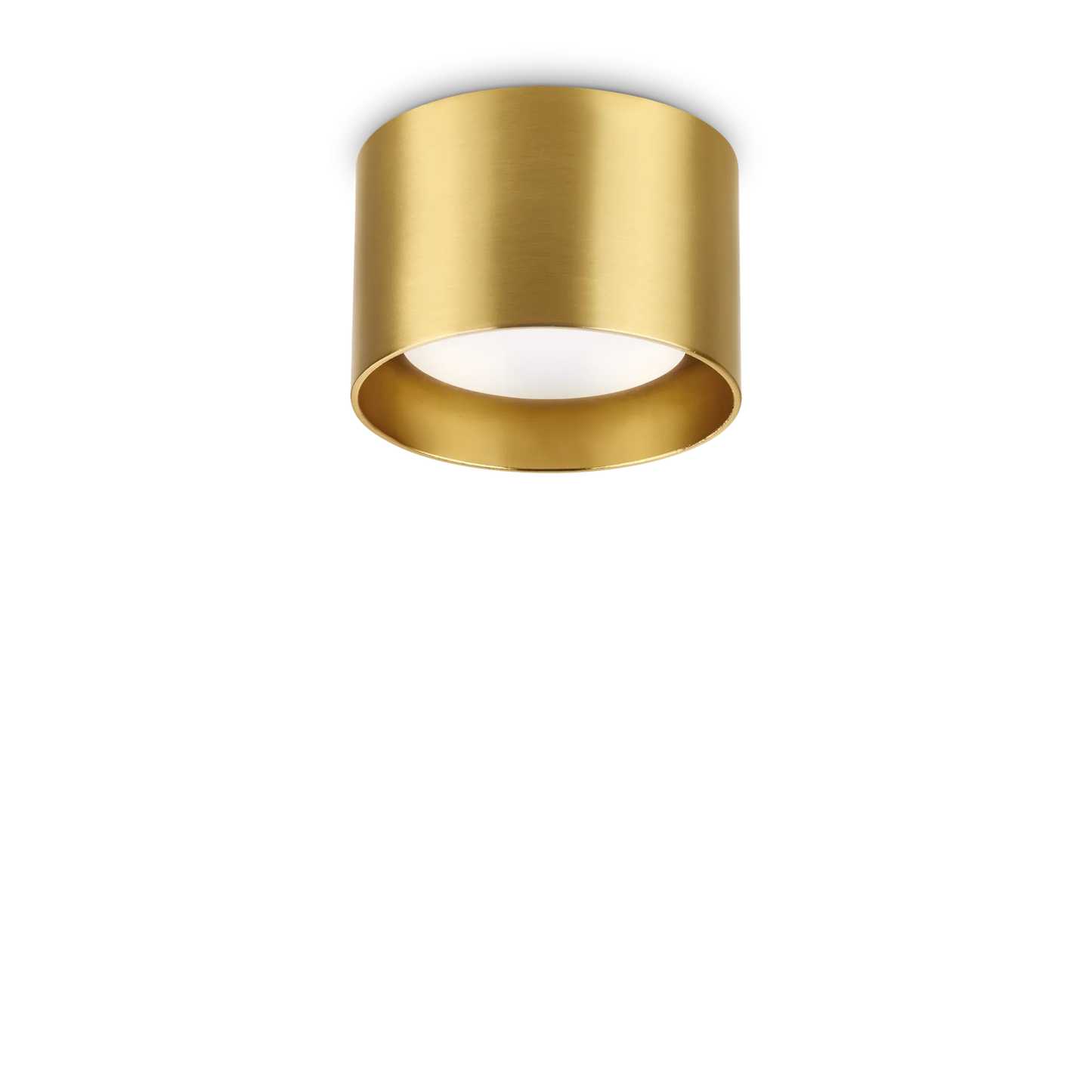 Spike pl1 rond