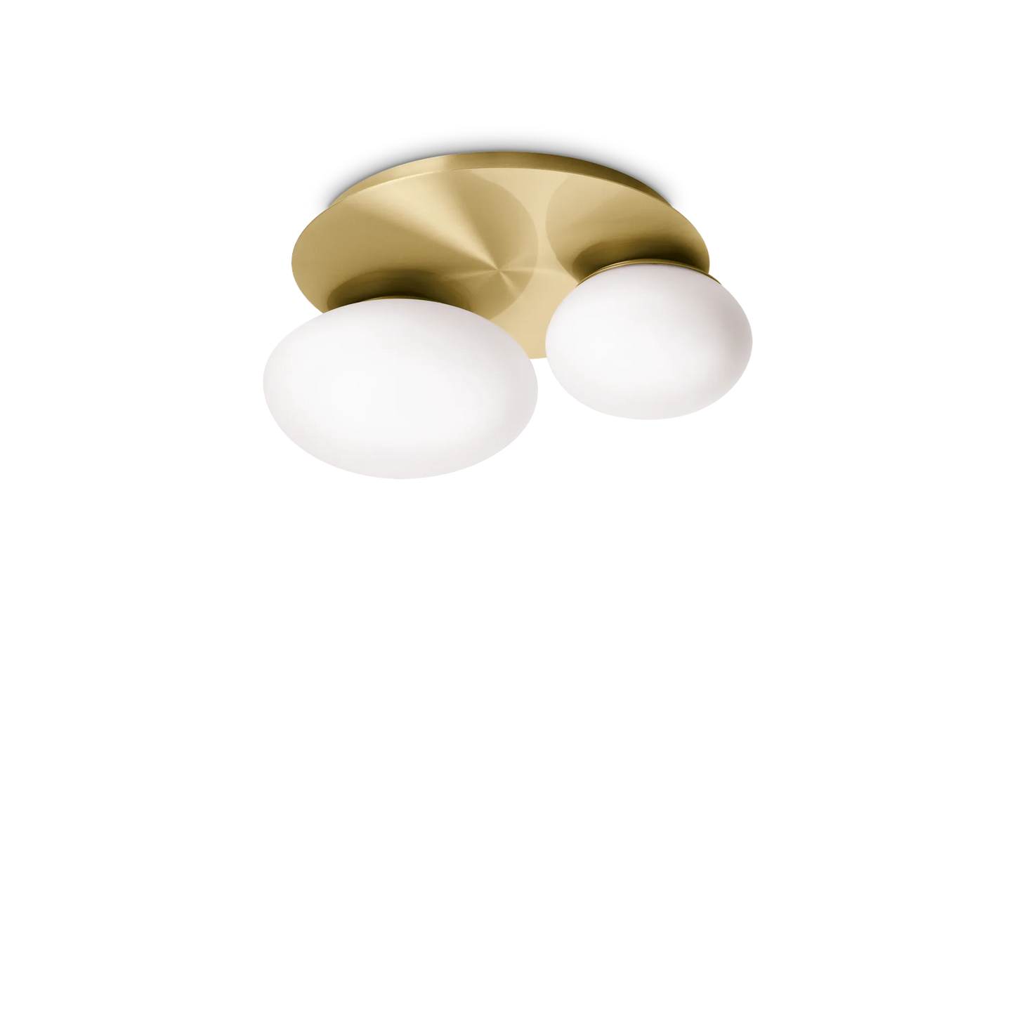 Ninfea pl2