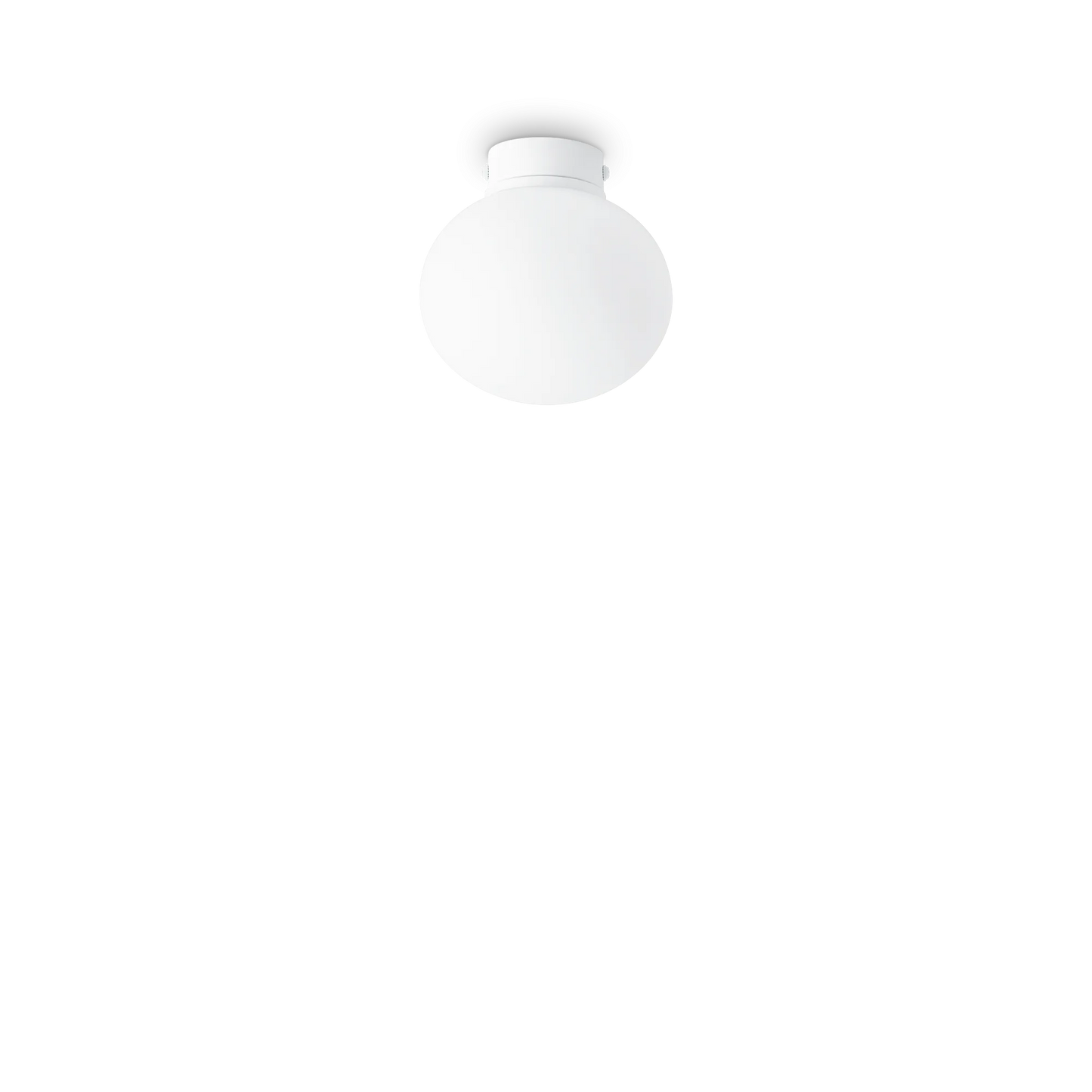 Coton pl1 d13