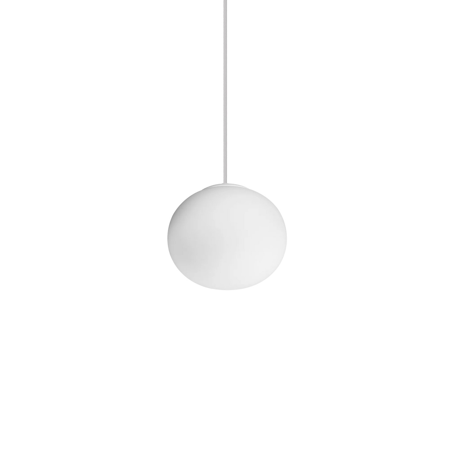 Cotton sp1 d13
