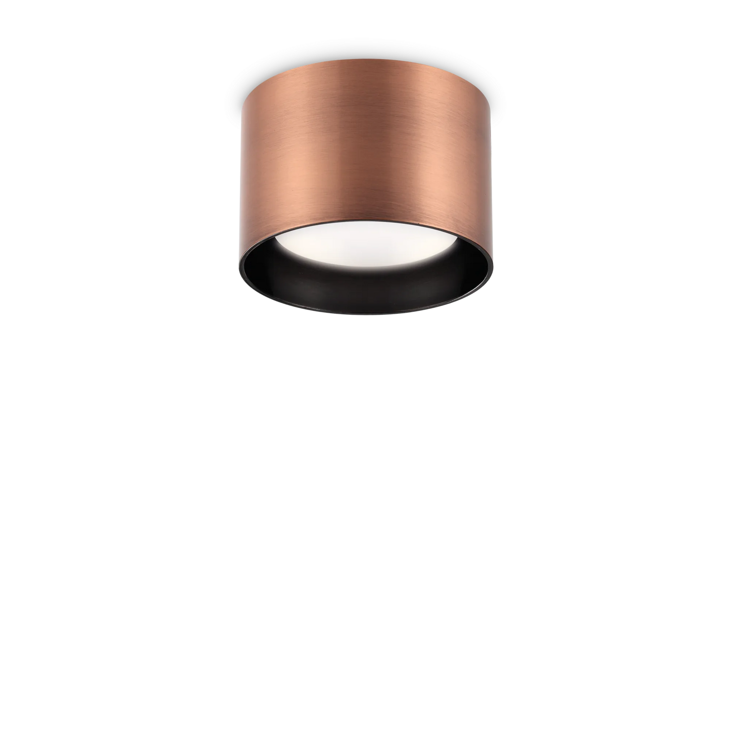 Spike pl1 rond