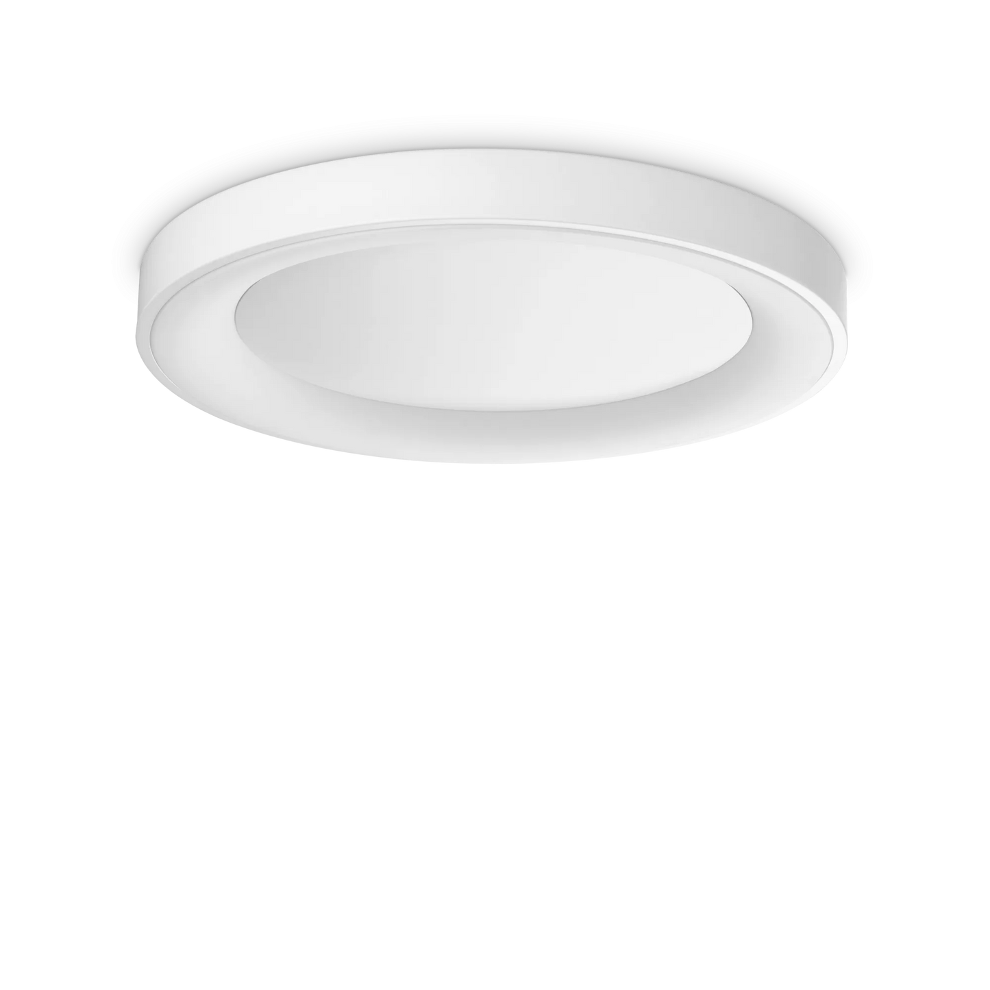 Planète pl d50