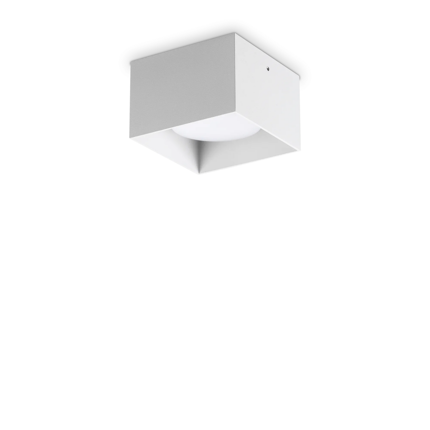 Pointe pl1 carrée