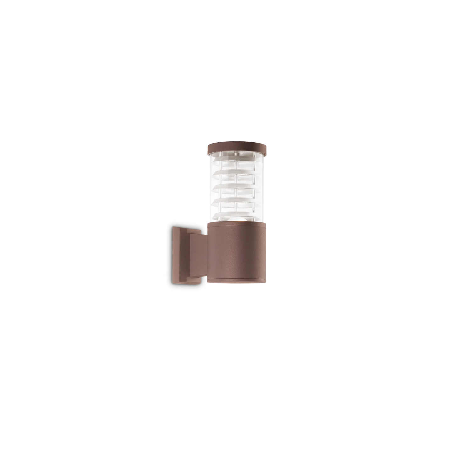 Tronco ap1