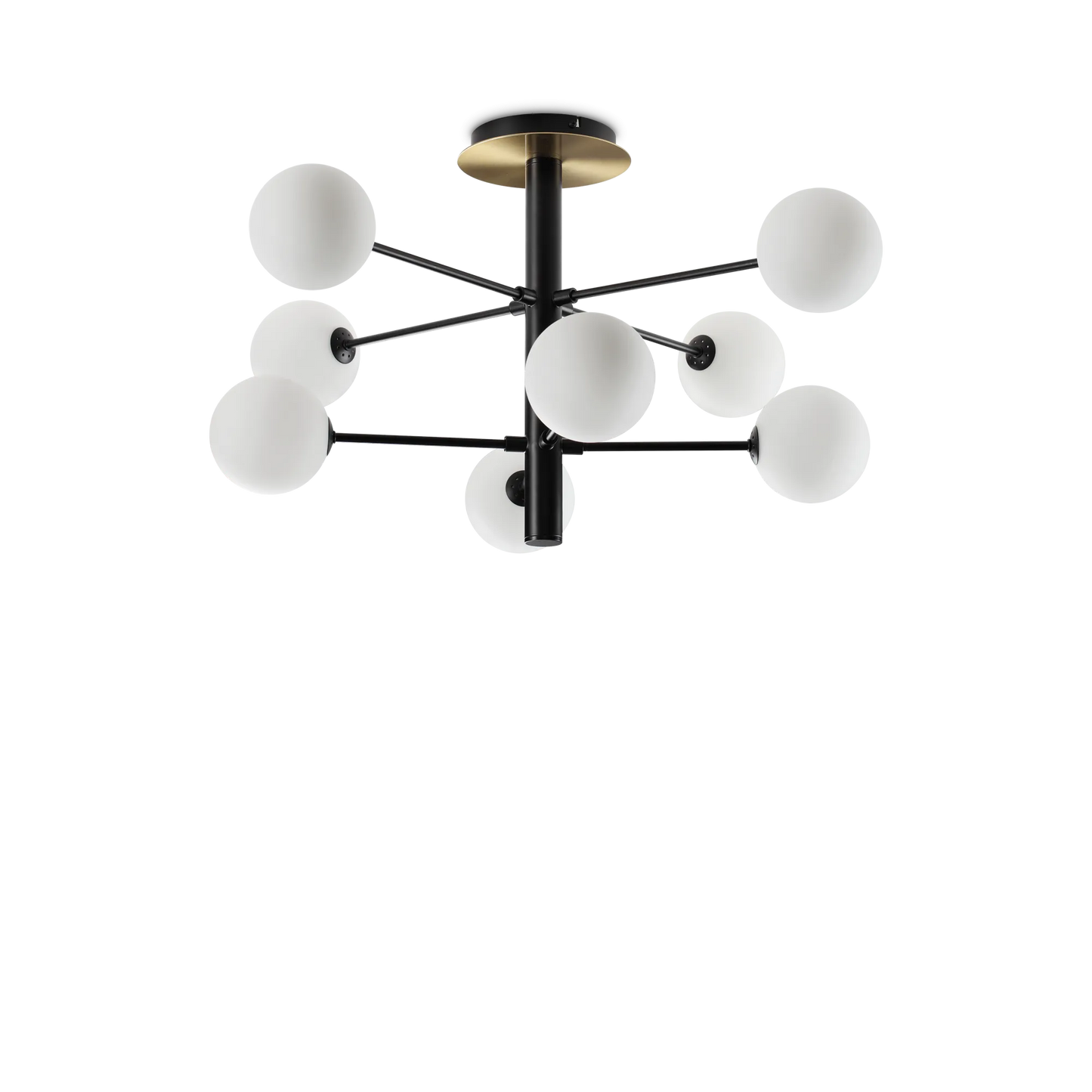 Cosmopolite pl8